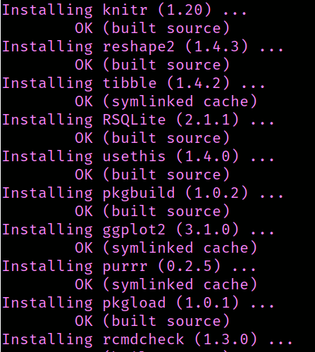 package install log
